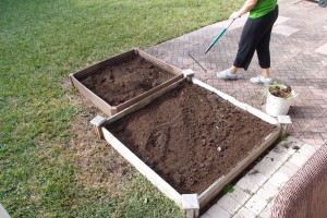 Florida Garden ready for seeds