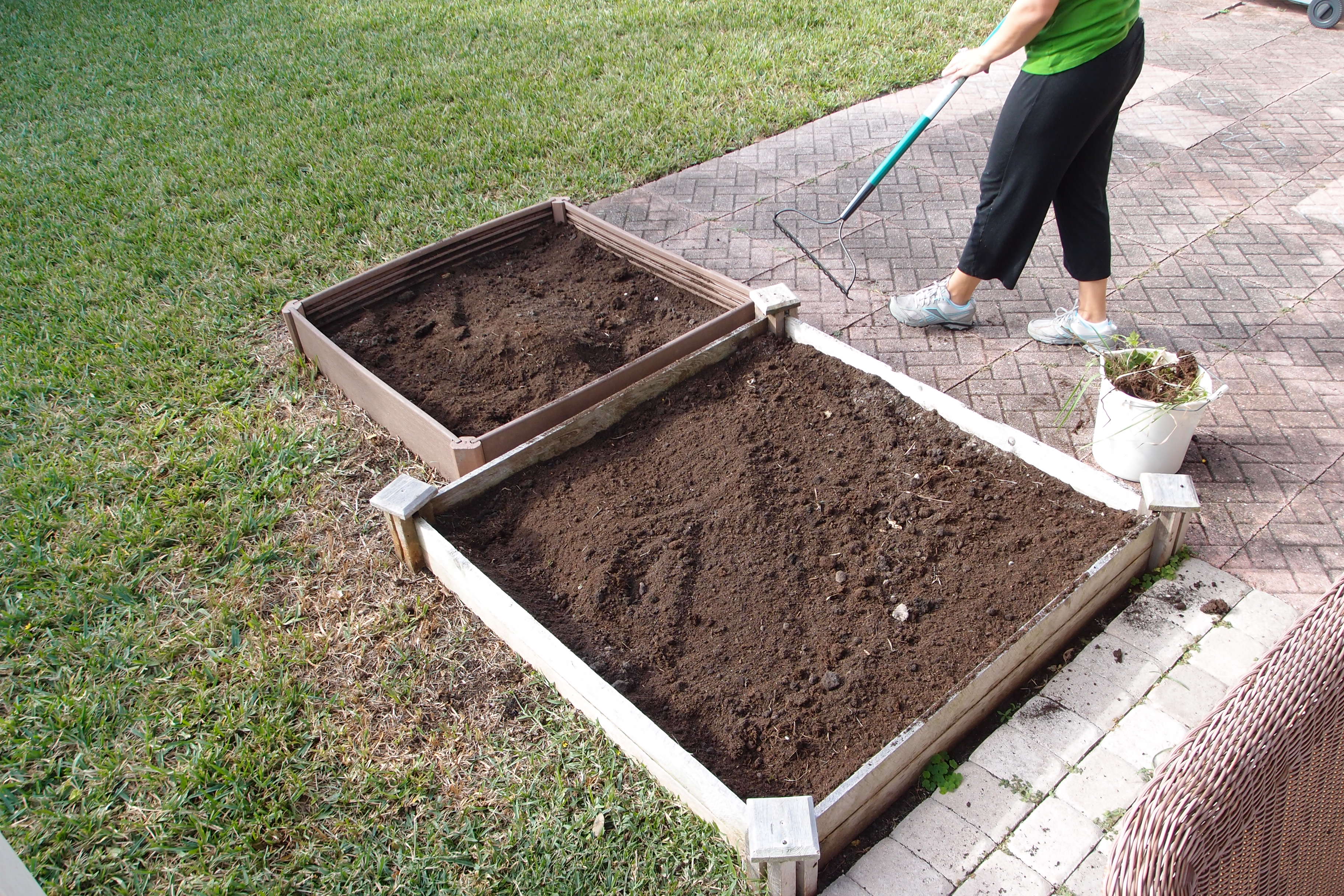 Starting our Florida Winter Garden 2012